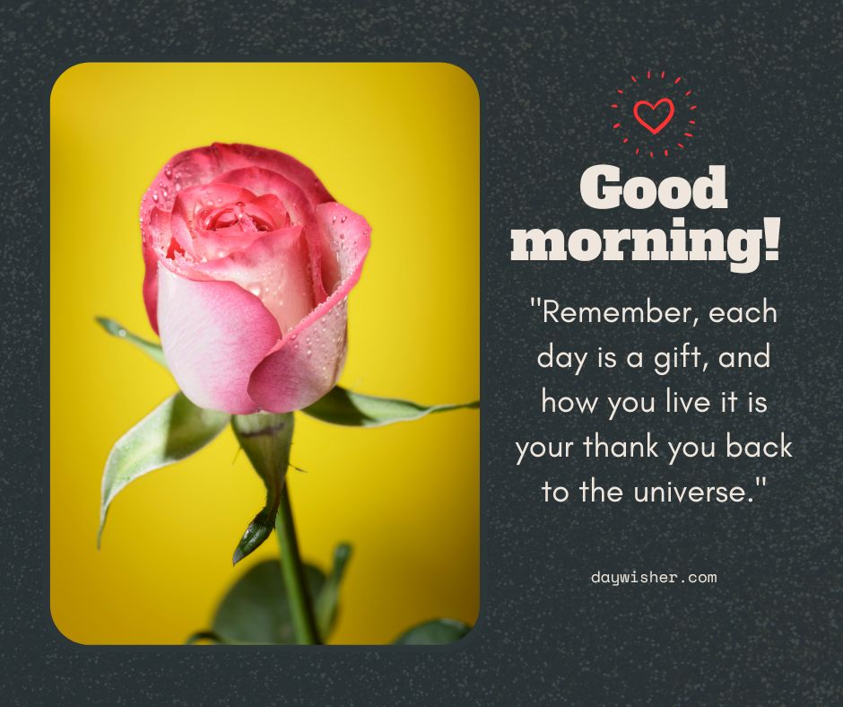 A vibrant pink rose with dew drops, set against a yellow backdrop. The text "Good morning images! Remember, each day is a gift, and how you live it is your thank you back to