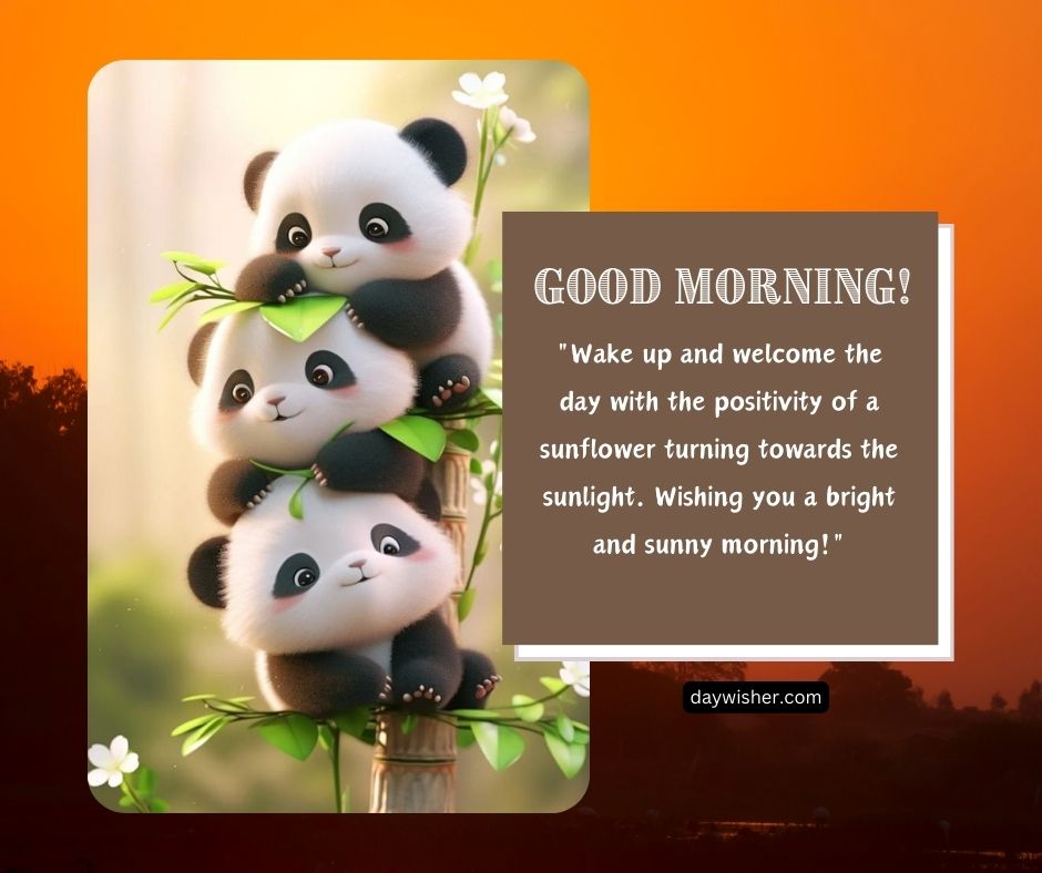 An image of three cartoon pandas climbing a bamboo stalk against a sunset background, with a sunflower and the text "Good morning images! Wake up and welcome the day with the positivity of a sunflower