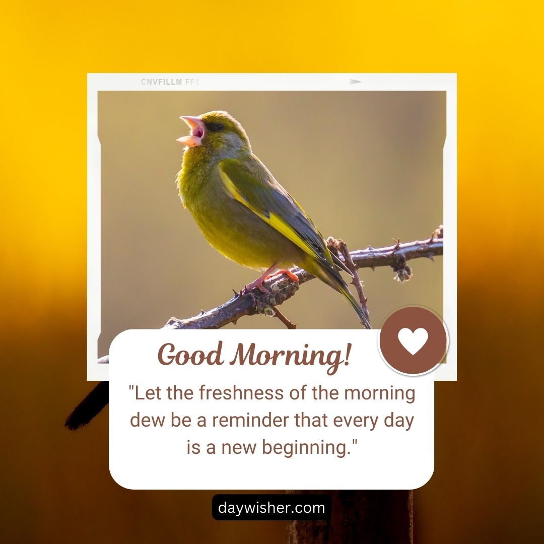 Image shows a green bird perched on a branch with a yellow background and a "good morning images" message along with a quote about the freshness of dew and new beginnings.