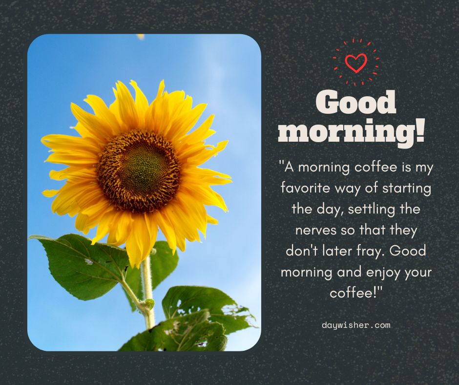 A vibrant sunflower against a clear blue sky with a graphic overlay that says "good morning!" and includes a quote about morning coffee, with the attribution to daywishr.com.