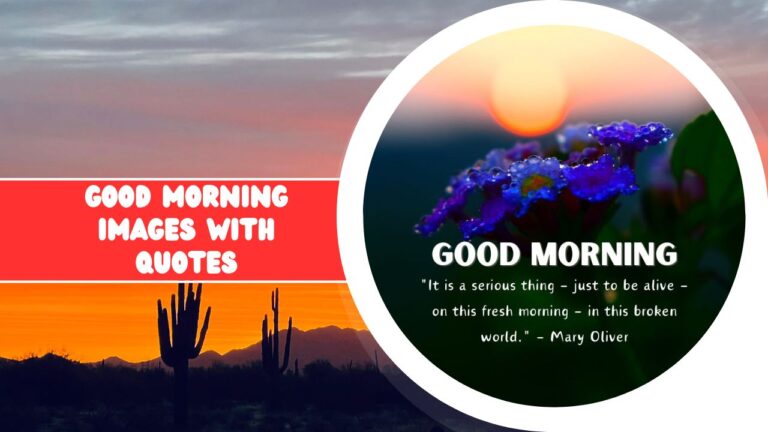 A graphic featuring a split design with a sunrise over a desert on the left and close-up of dewy blue flowers on the right, accompanied by a "Good Morning" greeting and a quote by Mary