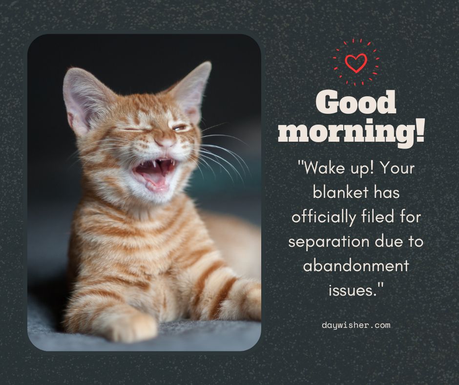 A cheerful orange tabby kitten yawns wide against a dark background with the text "Funny Good Morning! Wake up! Your blanket has officially filed for separation due to abandonment issues.