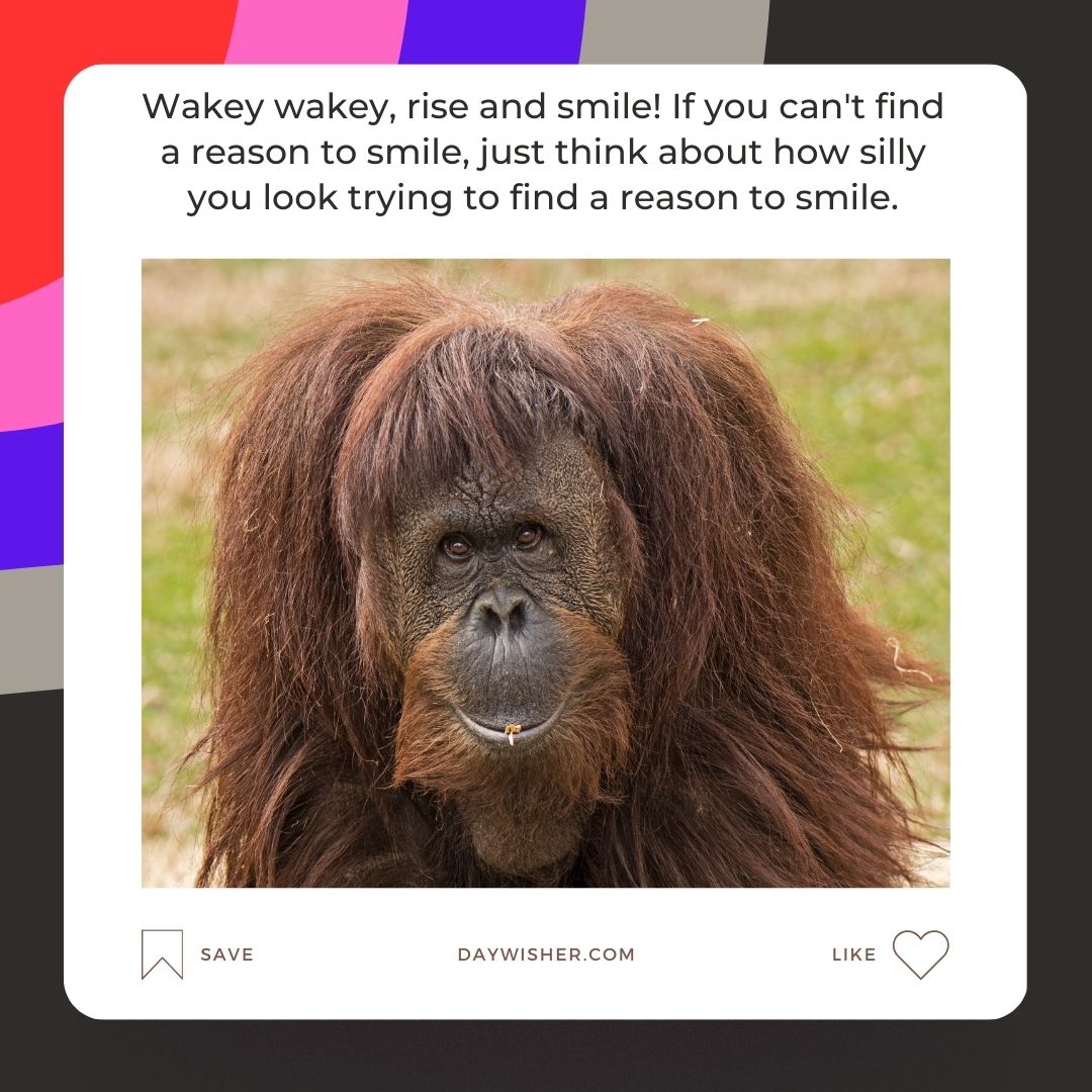 An image of an orangutan with a thoughtful expression, its shaggy brown hair framing its face, set against a blurred green background with overlaid text offering a funny good morning.