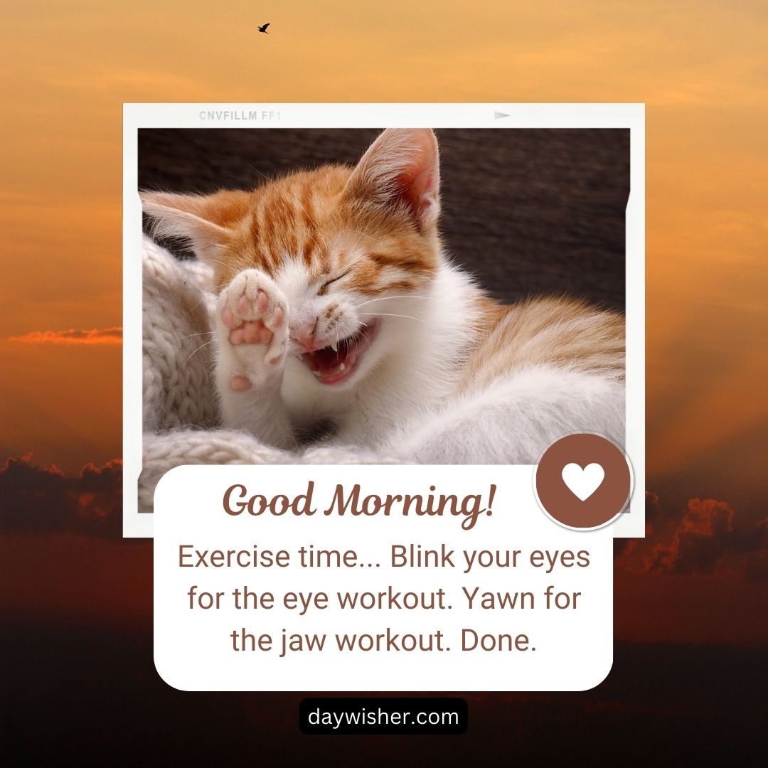 A cheerful orange and white cat yawning widely against a sunset background, with a caption that reads "Funny Good Morning! Exercise time... Blink your eyes for the eye workout. Yawn for the jaw