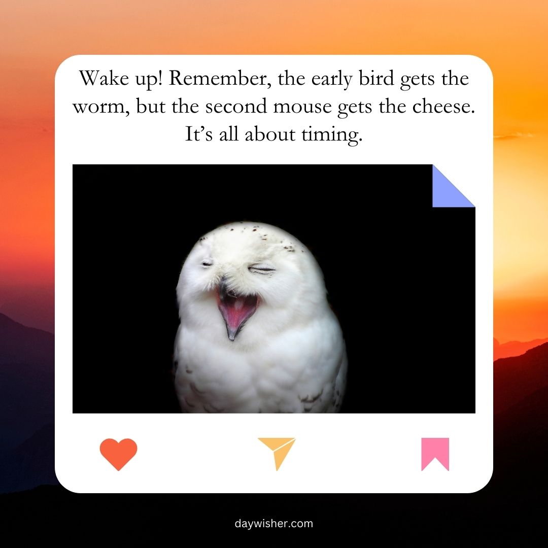 A meme featuring a joyful owl with closed eyes, superimposed on a serene sunset background. Text overlay reads: "Wake up! Remember, the early bird gets the worm, but the second mouse