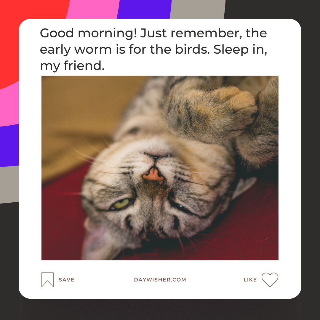 A cat lying on its back, resting on a red surface with its eyes closed, paired with a funny caption about good morning.