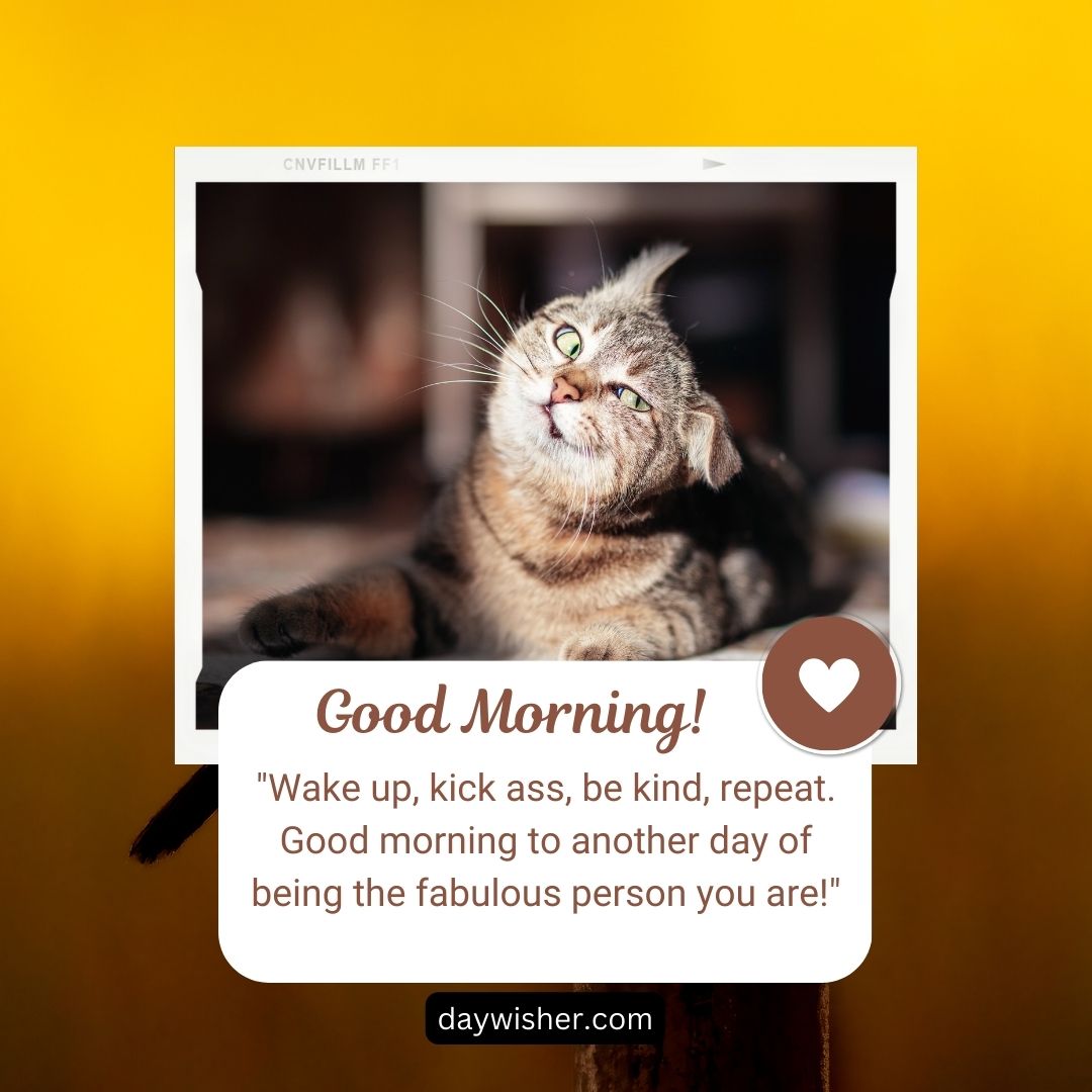 A motivational graphic featuring a tabby cat looking upwards with sunlight highlighting its fur, set against a blurred brown background. The text says "good morning, wake up, kick ass, be kind, repeat