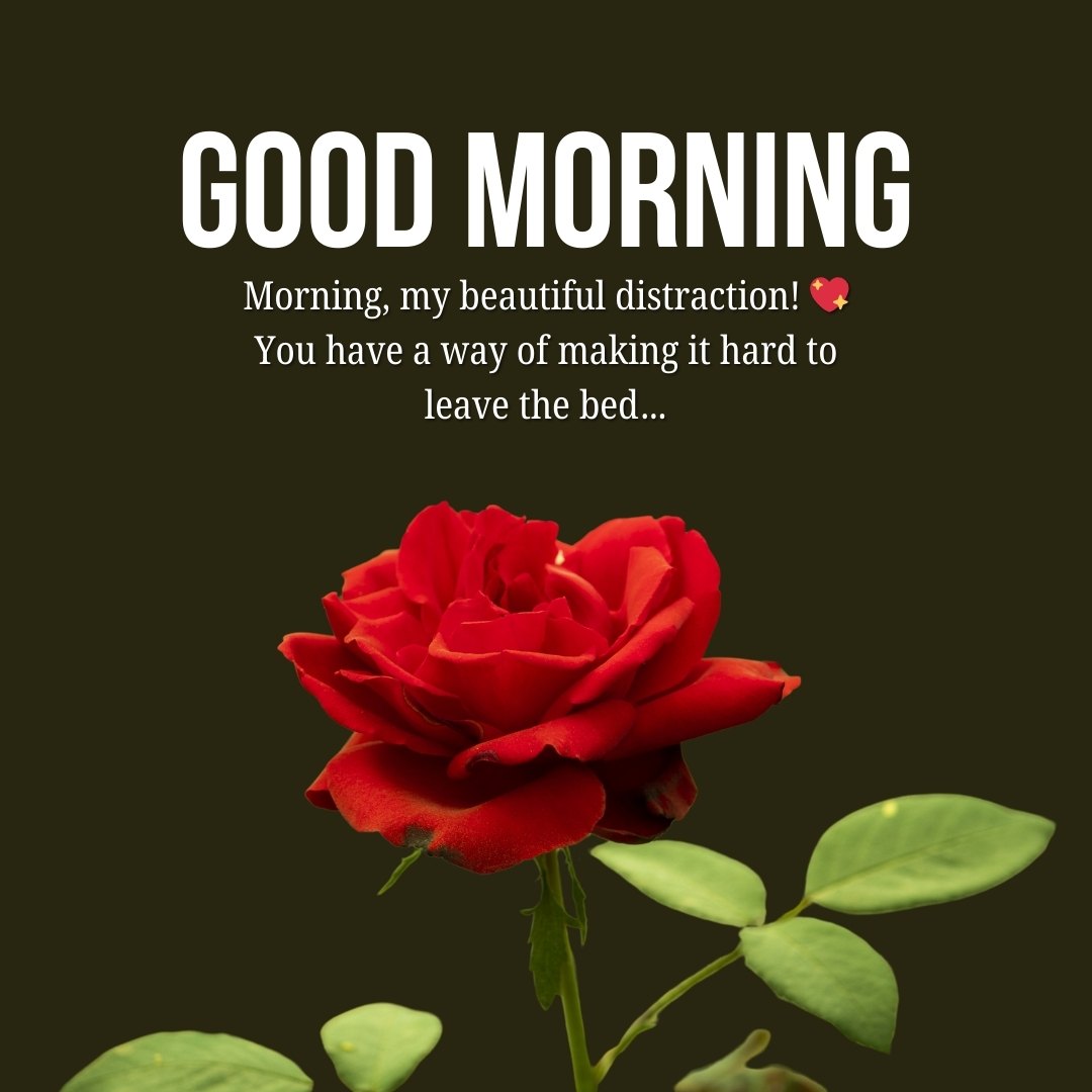 A sexy good morning text for a wife with a red rose and playful message: "Good Morning, my beautiful distraction! ❤️ You have a way of making it hard to leave the bed..." Perfect for sharing intimate and Sexy Good Morning Texts For Wife.