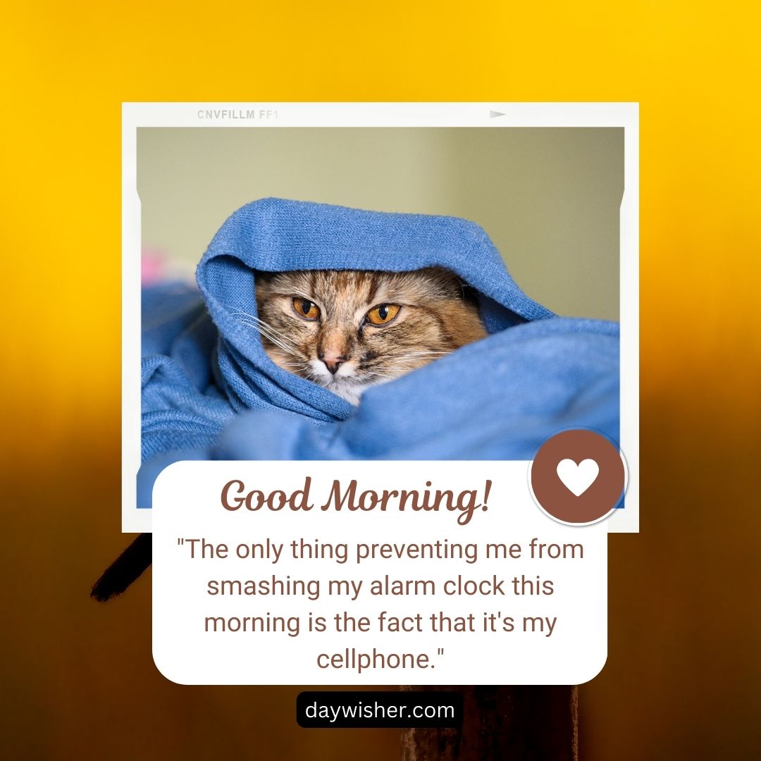 A cat wrapped in a blue towel looks out with a serene expression, overlayed with a "Good Morning" quote about a cellphone alarm and a heart icon, against a yellow background.