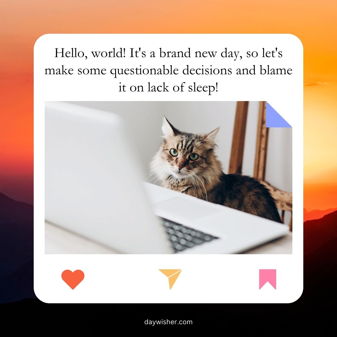 A fluffy, tabby cat sitting behind a laptop on a desk, with a humorous "Funny Good Morning" text overlay about making questionable decisions due to lack of sleep.