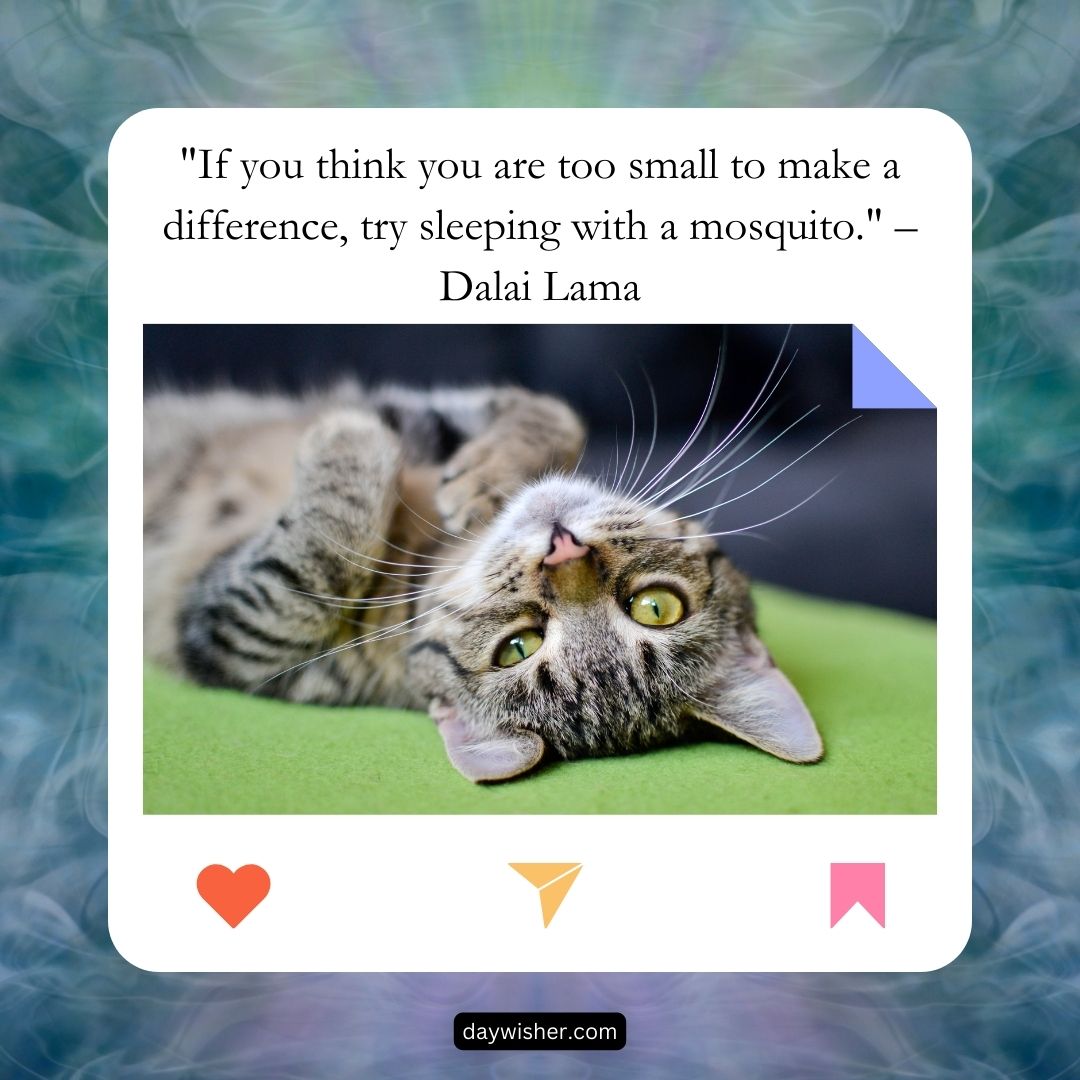 A playful tabby cat lying on its back on a green surface, looking upwards with its paws raised, framed by a decorative border featuring a "Good Morning" quote by Dalai Lama.