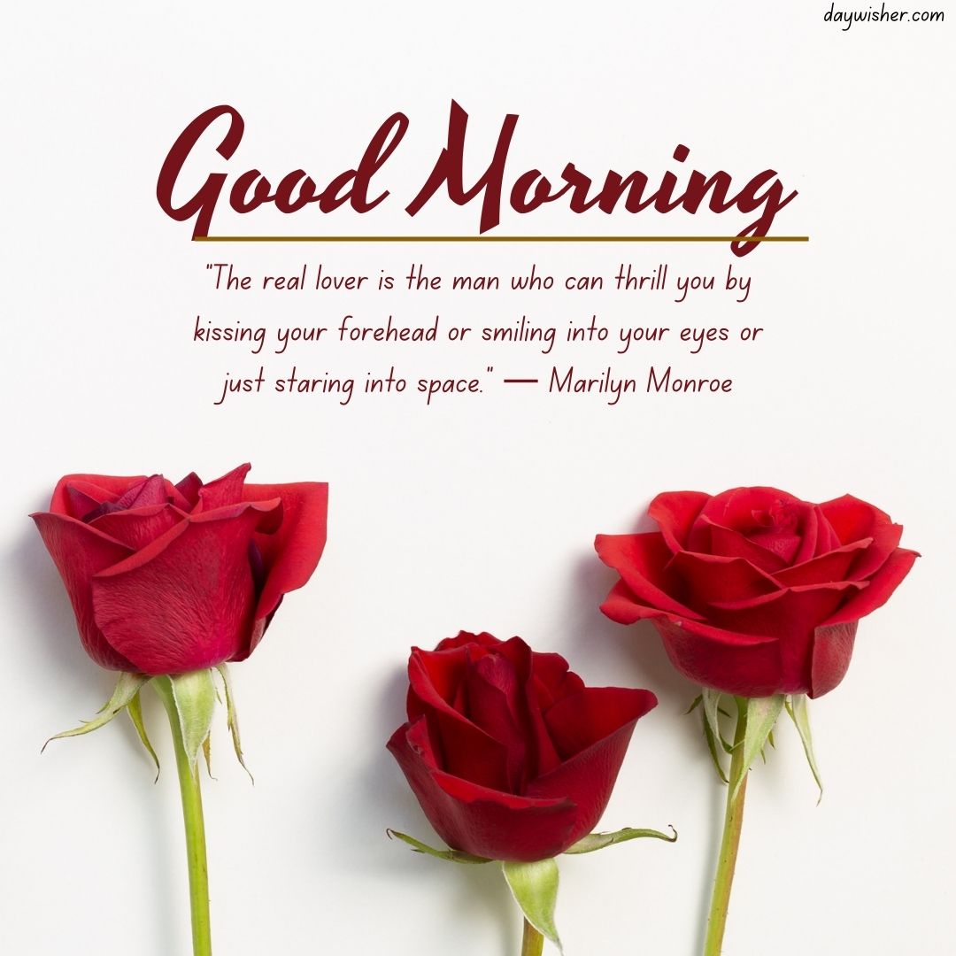 An image featuring two vibrant red roses against a white background with the text 'Good Morning Images with Quotes' and a quote by Marilyn Monroe about love.