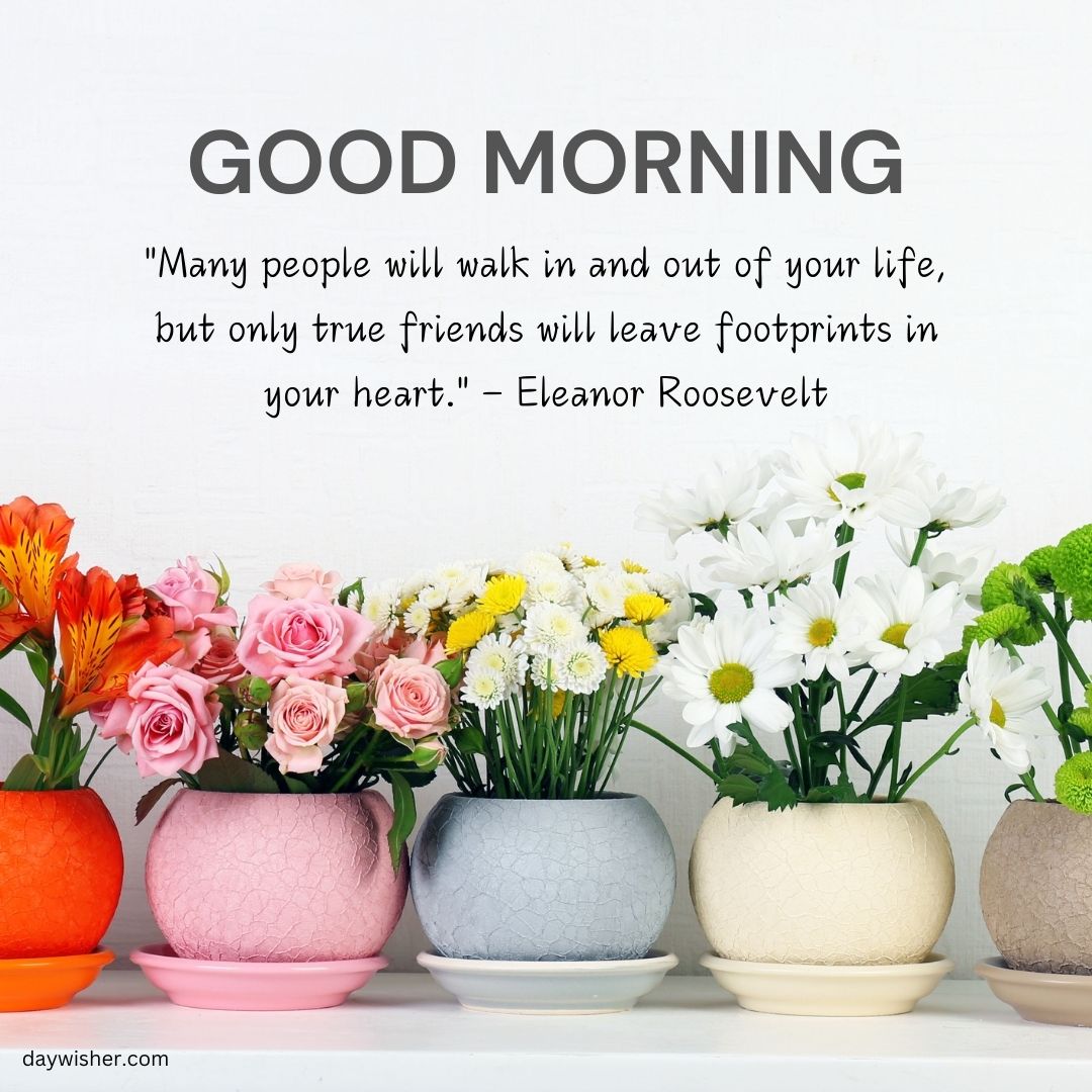 Image featuring a series of colorful flower pots with vibrant flowers, with a cheerful "Good Morning Images with Quotes" greeting and a friendship quote by Eleanor Roosevelt at the top.