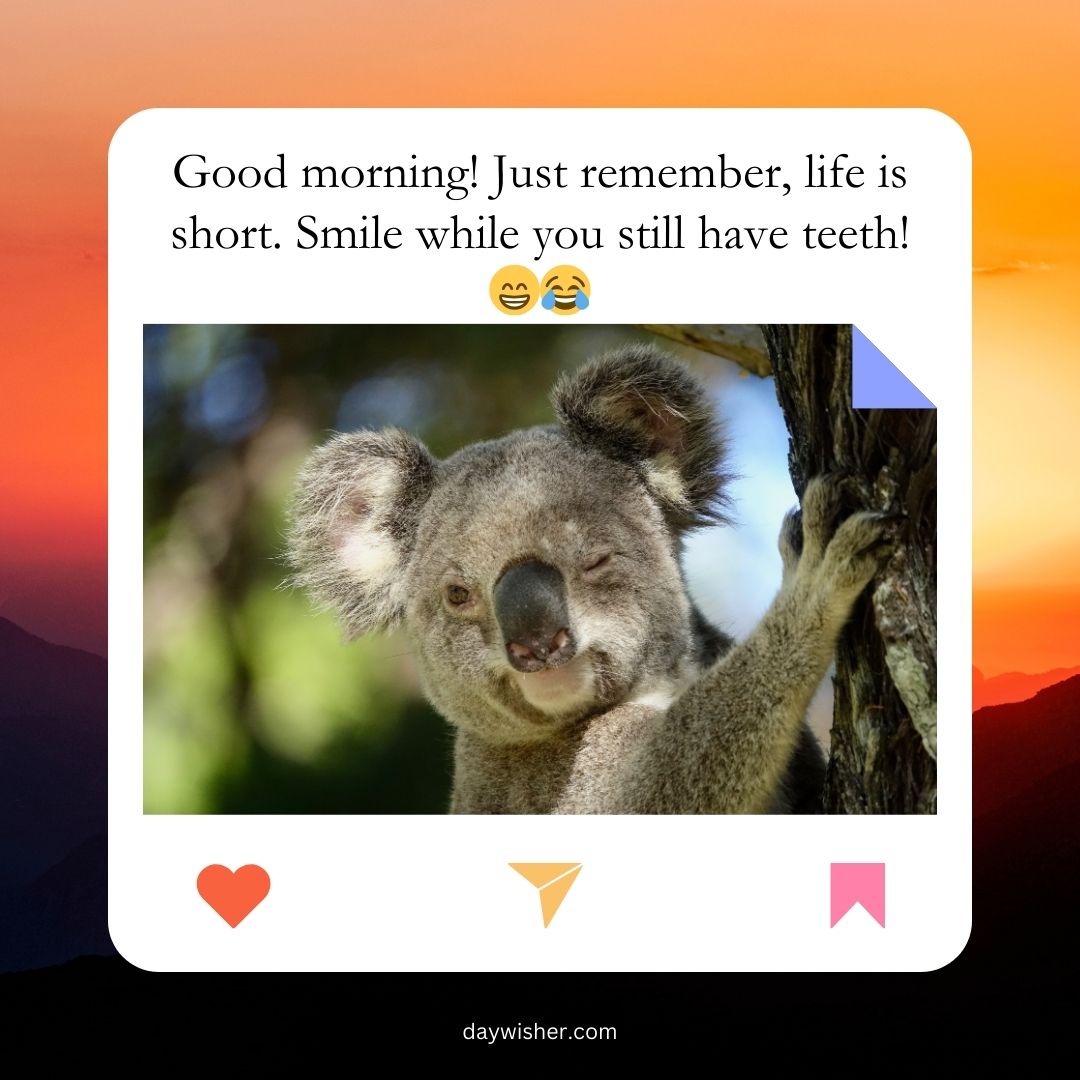 A meme featuring a smiling koala clinging to a tree, with a sunrise background and a caption that reads "good morning! just remember, life is short. smile while you still have teeth!
