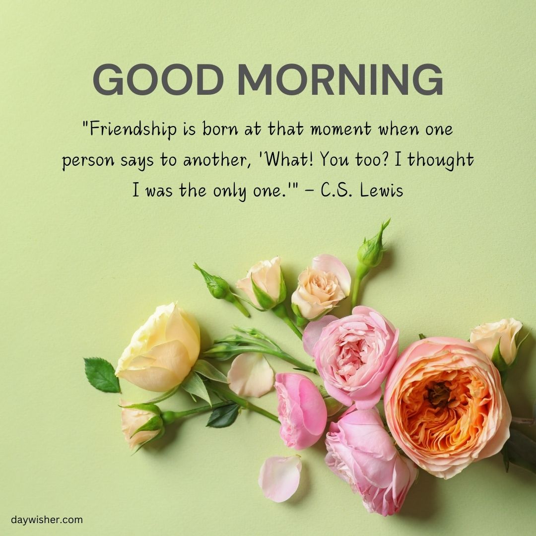 A graphic with a "Good Morning Images with Quotes" greeting and a C.S. Lewis quote on friendship, accompanied by an image of beautiful pale pink and cream roses on a green background.