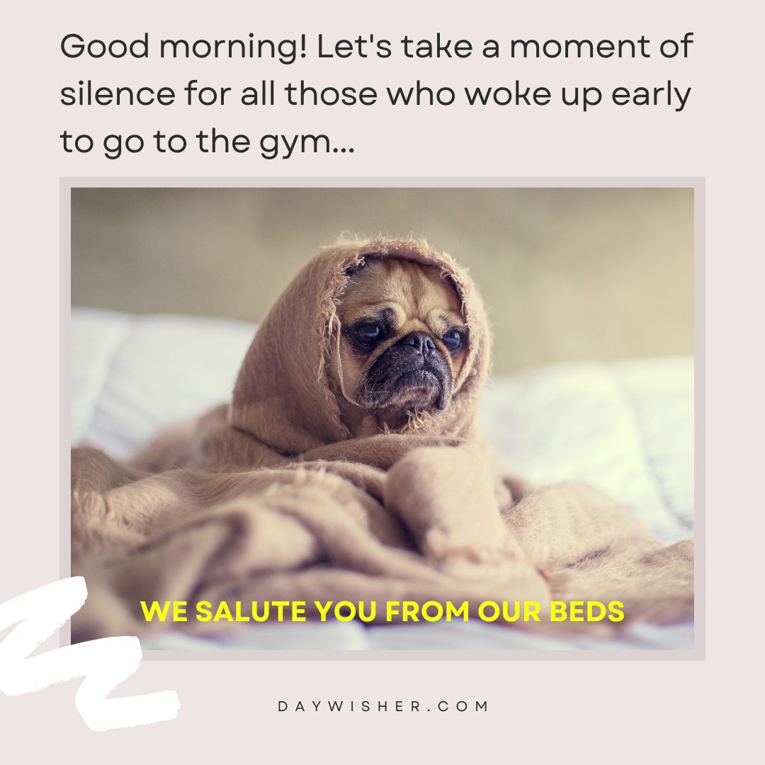A pug dog lying comfortably in bed with a sleepy expression, overlaid with text that humorously salutes those who wake up early to go to the gym, making it one of those funny good