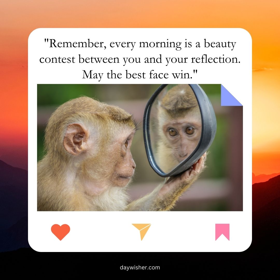 A monkey looks at its reflection in a handheld mirror, with a quote above saying, "Remember, every morning is a beauty contest between you and your reflection. May the best face win." - Funny