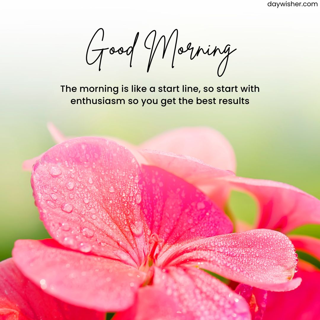 Close-up of a vivid pink flower with dew drops on its petals, overlaid with the text "good morning images" and an inspirational quote about starting the day with enthusiasm for best results. The background