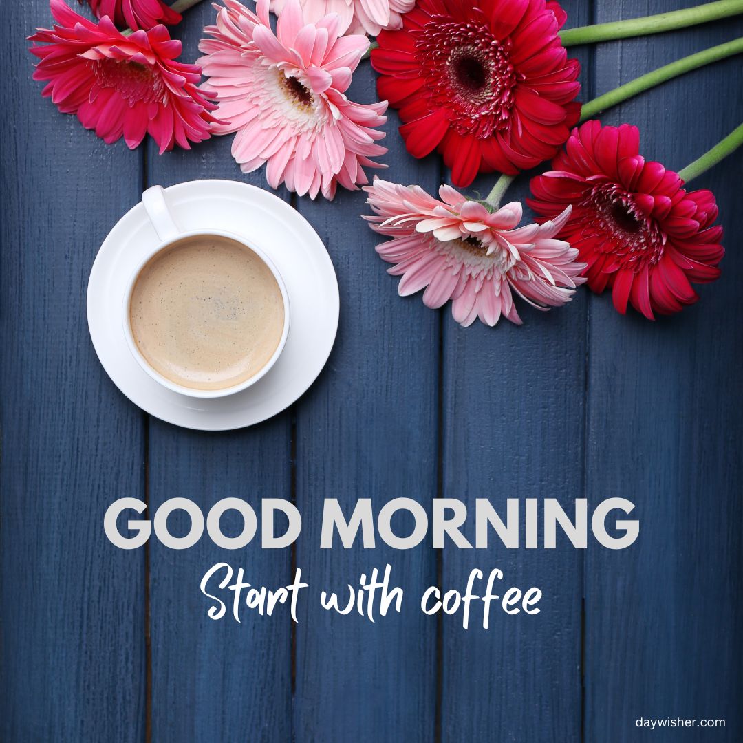 A white cup of coffee centered on a navy blue wooden background flanked by vibrant pink and red gerbera flowers with the text "good morning images start with coffee.