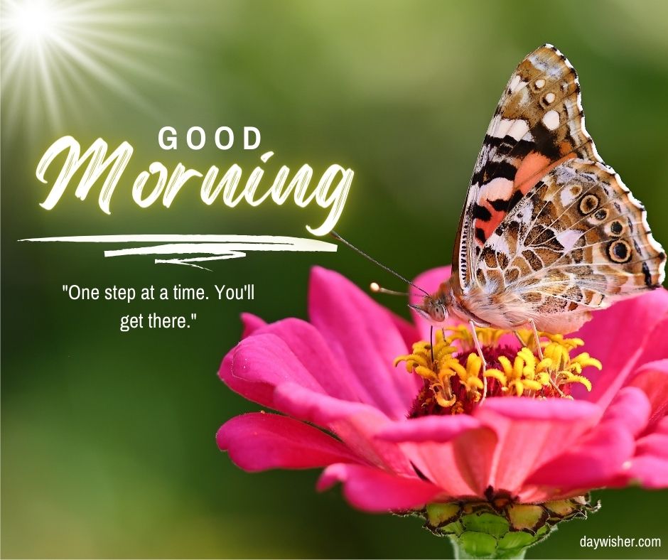 A colorful butterfly perched on a vibrant pink flower, with a background featuring lush greenery and sunlight. The image includes the text "good morning images" and an inspirational quote.