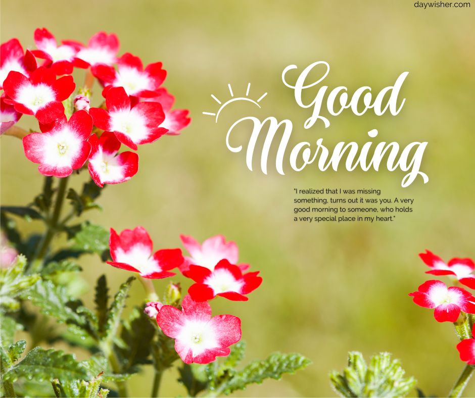 Good morning images" greeting card featuring vibrant red and white flowers with a blurred green background, and an inspirational quote about missing something precious.
