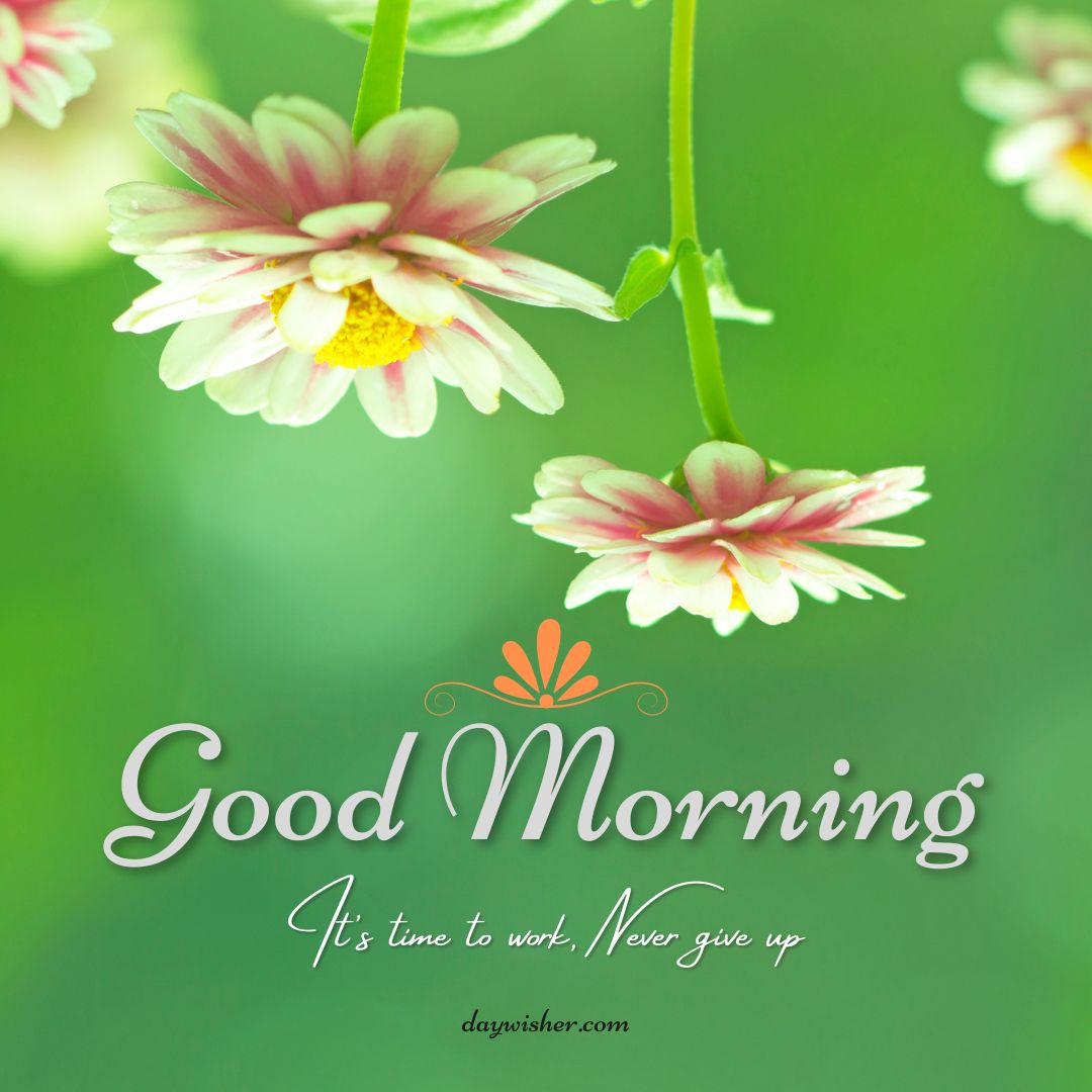 A motivational "good morning" image with text overlay, featuring several delicate hanging flowers against a soft green background, emphasizing positivity with a message about hard work and perseverance.