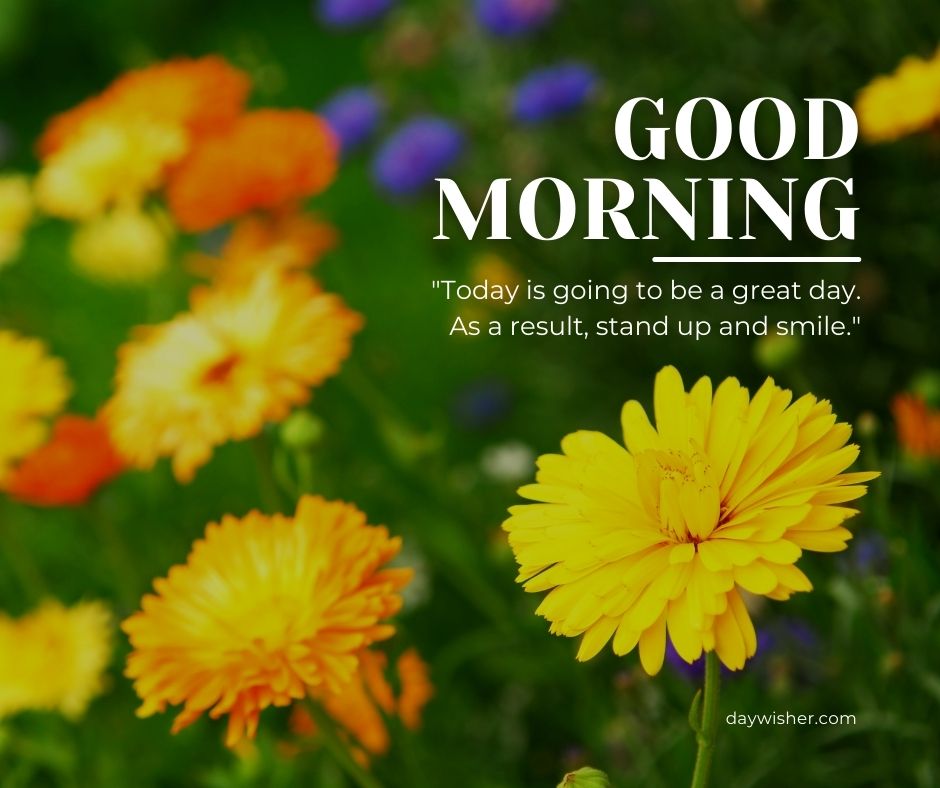A vibrant floral background with yellow and purple flowers, overlaid with the text "good morning images" and the inspirational quote "today is going to be a great day. As a result, stand up