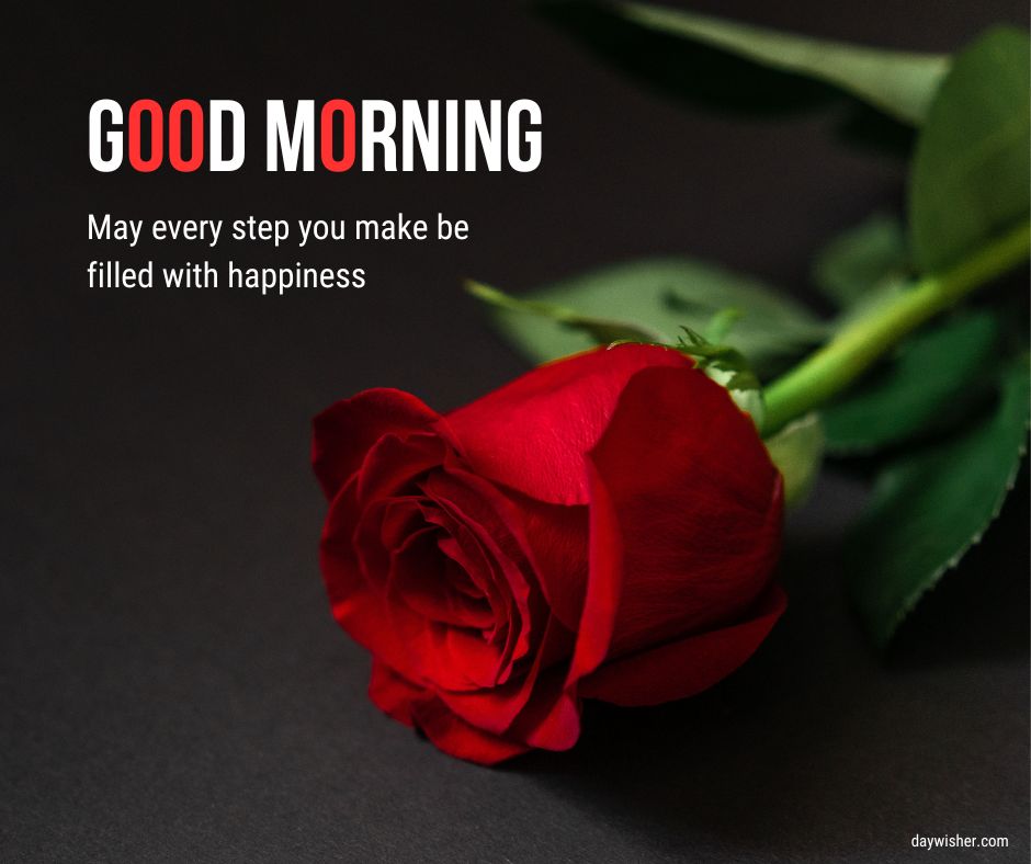 A vibrant red rose lies diagonally on a dark background with text "good morning images" in large letters and a smaller message, "may every step you make be filled with happiness.