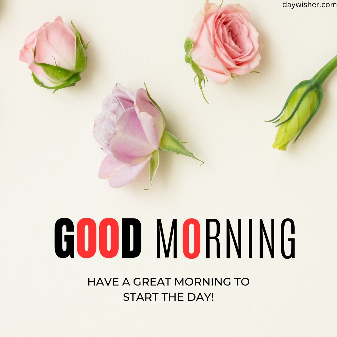 Three pastel roses on a cream background with the text "good morning. have a great morning to start the day!" in bold red and black fonts, perfect for good morning images.