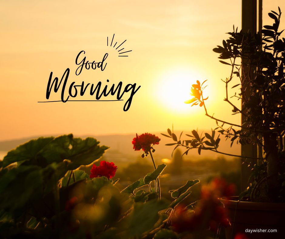 A scenic sunrise viewed from a balcony framed by lush plants and vibrant red flowers, with the words "good morning" stylishly written in the sky, perfect for good morning images.