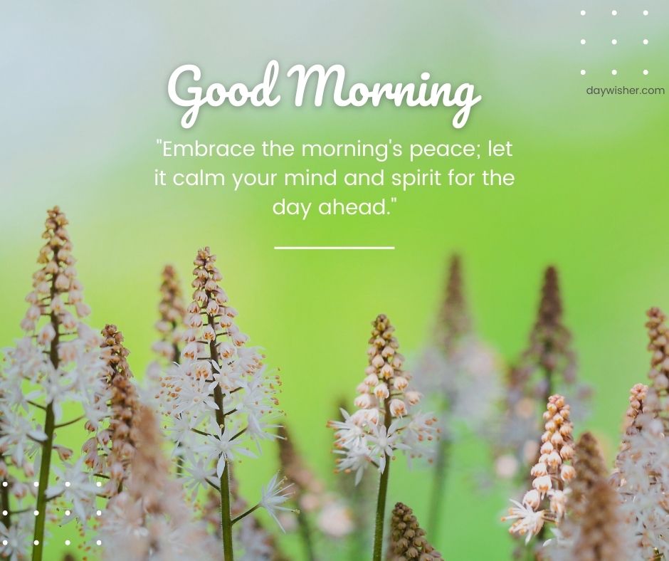 A tranquil "Good Morning" greeting image with a quote, featuring soft focus white flowers against a green backdrop, encouraging peace and calm to start the day.