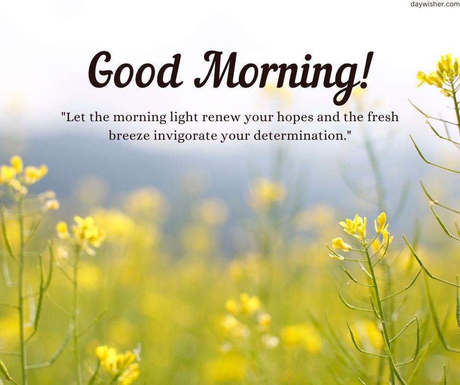 An inspirational Good Morning Images with Quotes featuring a sunny field with yellow flowers and a clear sky. Overlay text reads "good morning!" with a motivational quote about hope and determination.