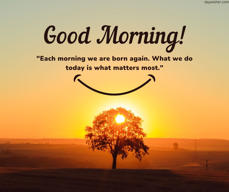 A vibrant sunrise with a silhouette of a lone tree in the foreground. Overlaid text reads "Good Morning" along with an inspirational quote about new beginnings.