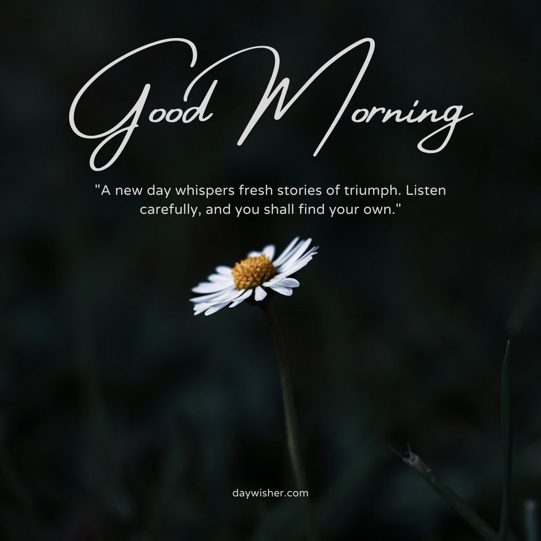 Inspirational "Good Morning Images with Quotes" message on a dark background, featuring a single daisy illuminated subtly, with a quote about finding personal triumph in each new day.