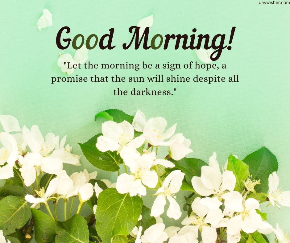A cheerful "Good Morning Images with Quotes" graphic with white blossoms on a green background, featuring an inspirational quote about hope and sunshine amidst darkness.