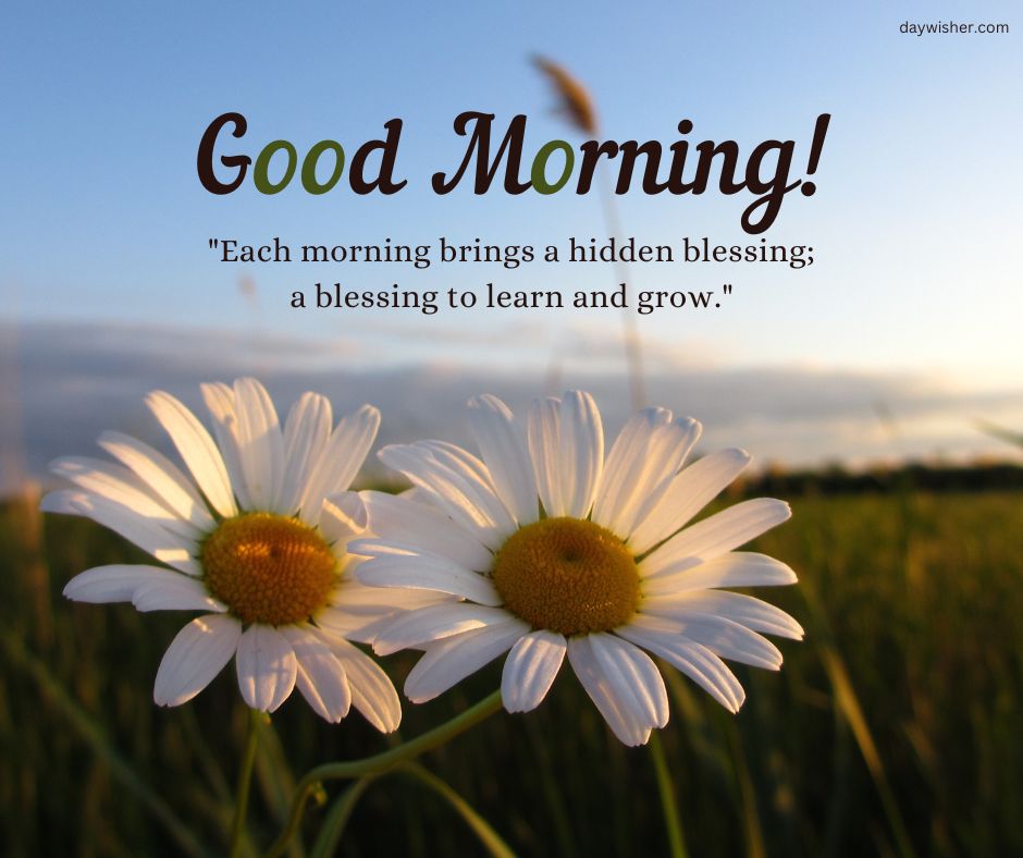 An image of two close-up white daisies with yellow centers against a sunrise and blue sky, with the text "good morning" and a quote about blessings and growth.