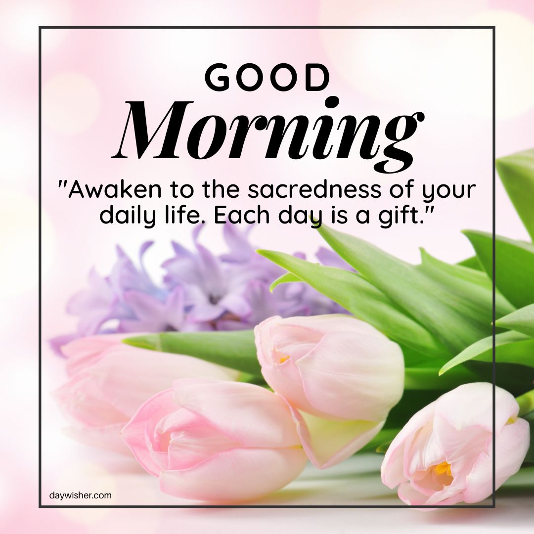 A "Good Morning Images with Quotes" greeting featuring pink tulips in the foreground and a quote that says, "Awaken to the sacredness of your daily life. Each day is a gift.