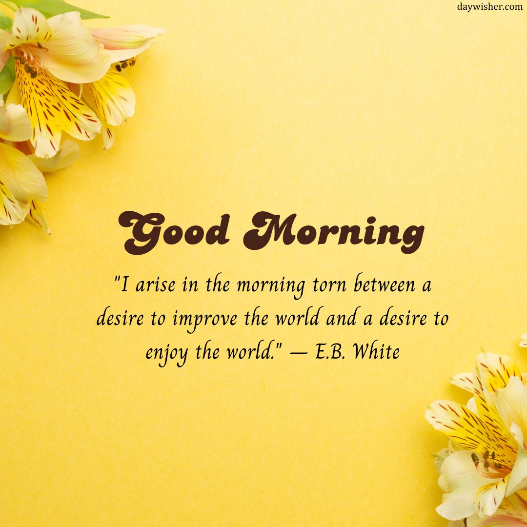 A bright yellow background with the phrase "good morning" in bold, dark script, accompanied by a quote from e.b. white about being torn between improving and enjoying the world. Decorated with subtle