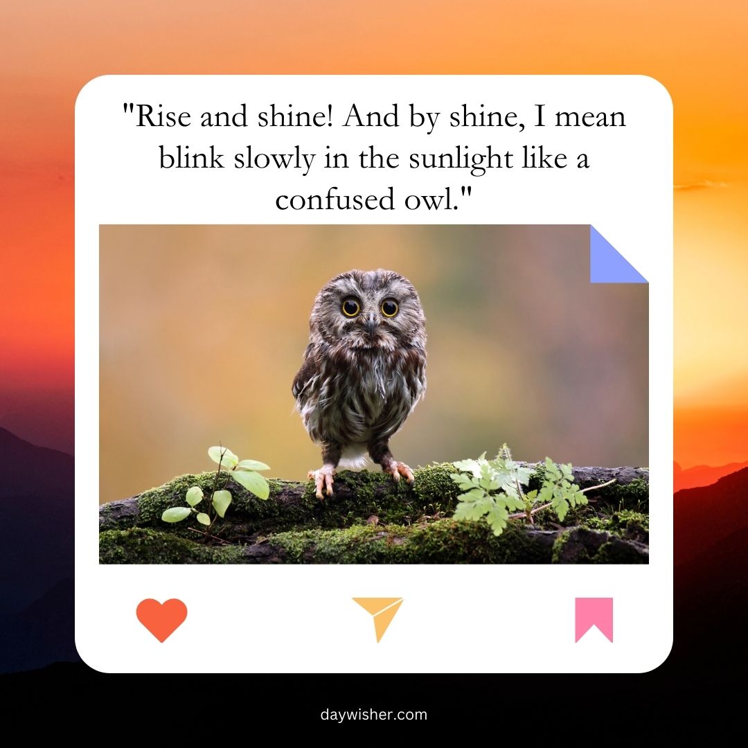 An owl on a branch looking perplexed with a humorous twist on a common saying, "'Rise and shine! And by shine, I mean blink slowly in the sunlight like a confused owl."