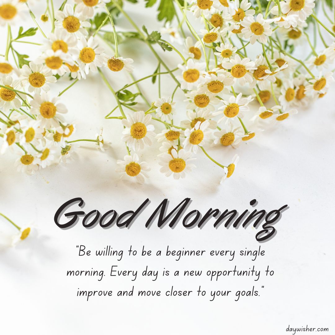 Good Morning Images with Quotes" greeting overlaid on an image of fresh, small white daisy flowers scattered on a light background, with a motivational quote about seizing new opportunities for self-improvement