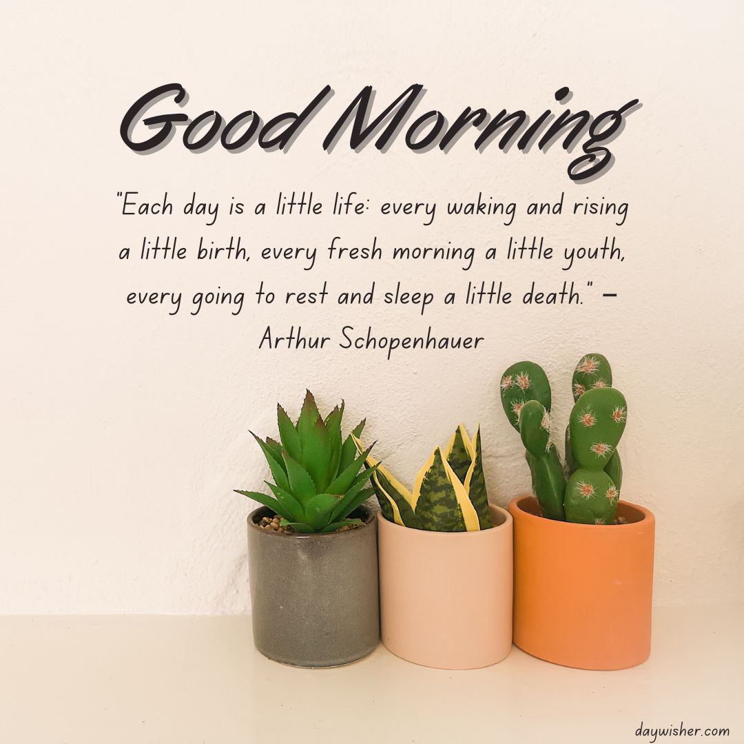 Image of three potted succulents against a white wall with a 'good morning' greeting and a quote by Arthur Schopenhauer about the freshness of each day.
