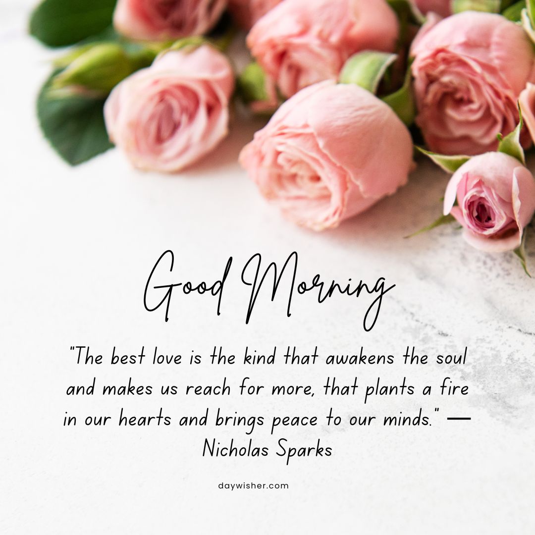A soothing Good Morning Images with Quotes featuring a cluster of soft pink roses on the left with a "good morning" greeting and an inspirational quote about love by Nicholas Sparks on the right.