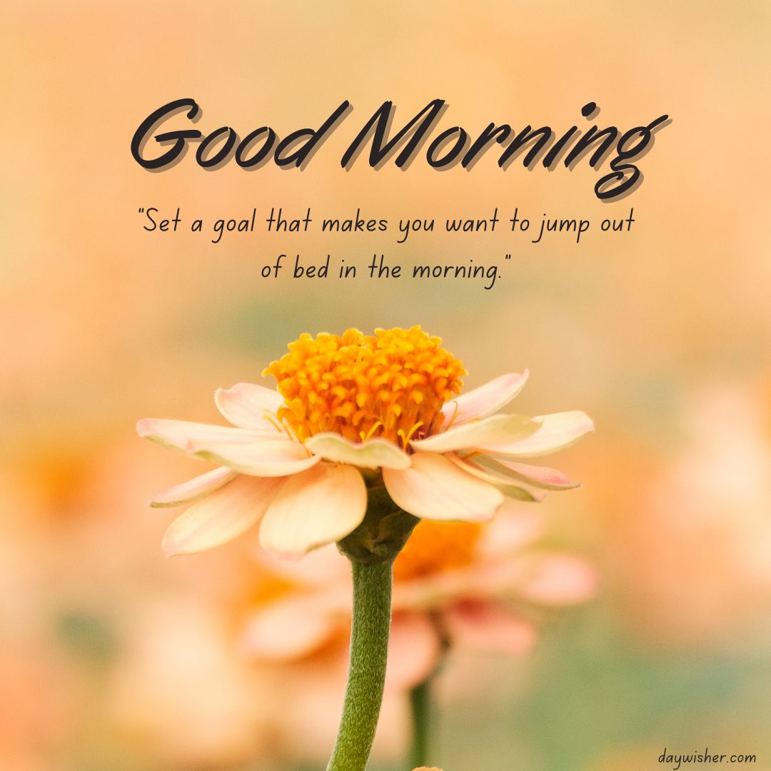 A vibrant Good Morning Images with Quotes of a single daisy against a soft-focus orange-yellow background, paired with the inspirational text "good morning" and a quote "set a goal that makes you want