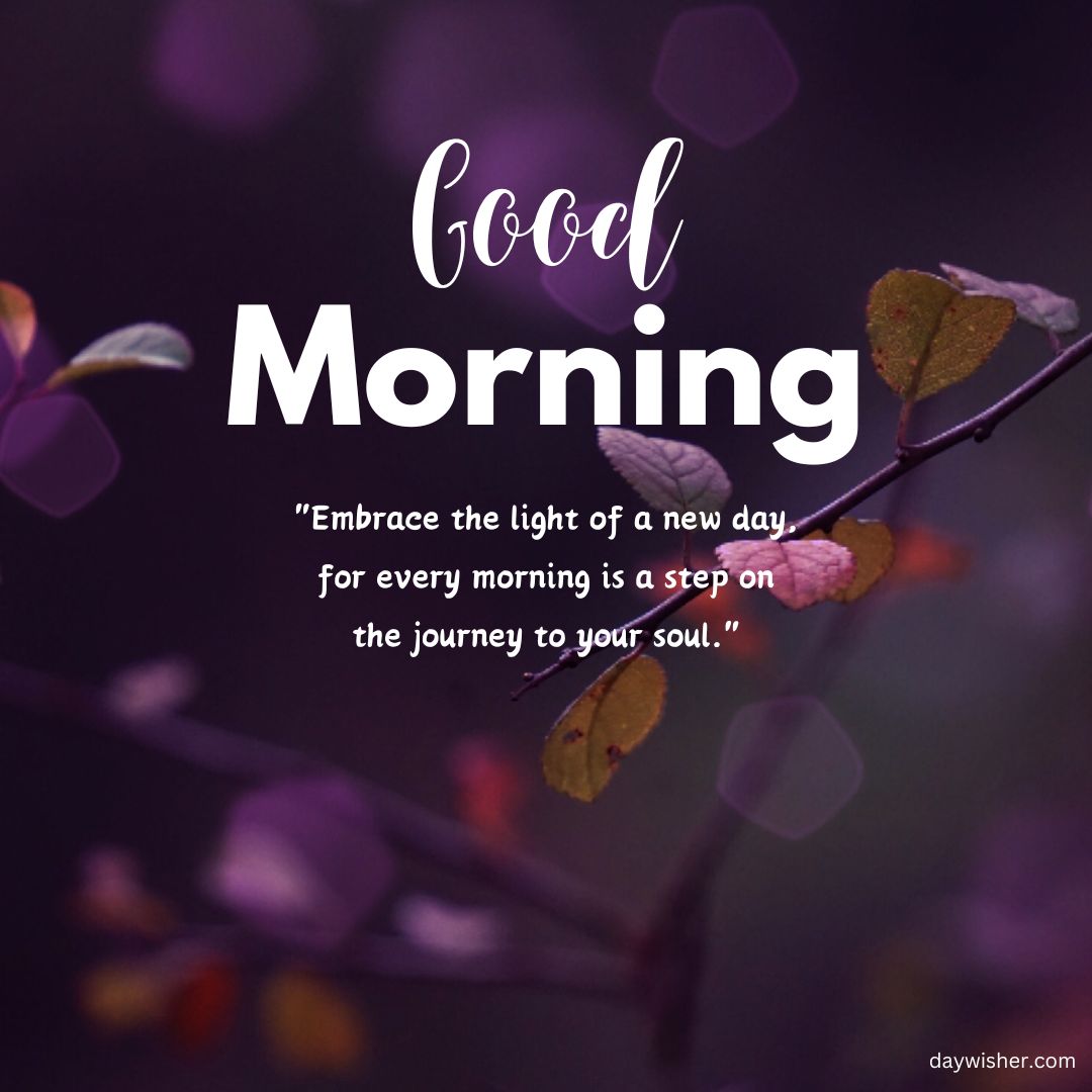 An inspirational "Good Morning Images with Quotes" on a background of blurred purple hues with visible tree branches and leaves. The quote encourages embracing each new day.