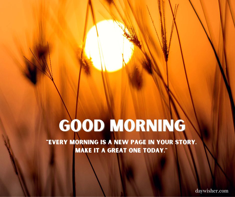 The image displays a breathtaking sunrise with the sun shining through orange-tinted wild grass. Overlay text reads "Good Morning - Every morning is a new page in your story. Make it a great one