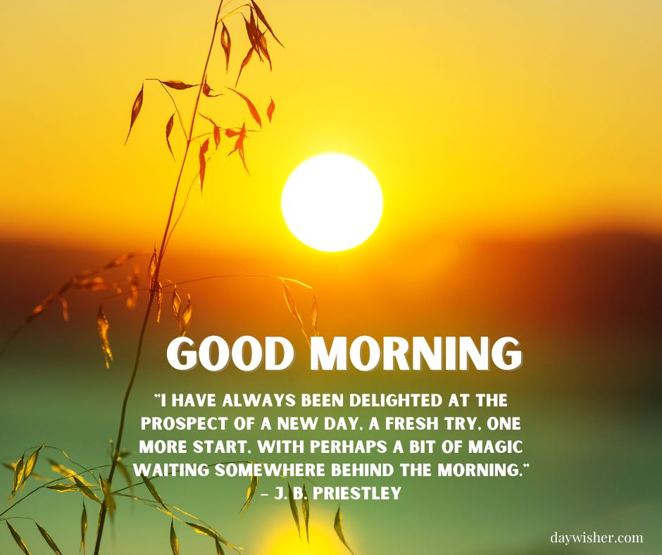 A tranquil sunrise with golden hues, featuring silhouettes of plants in the foreground and a large sun in the center. The image includes a "Good Morning" inspirational quote by J.B. Priestley
