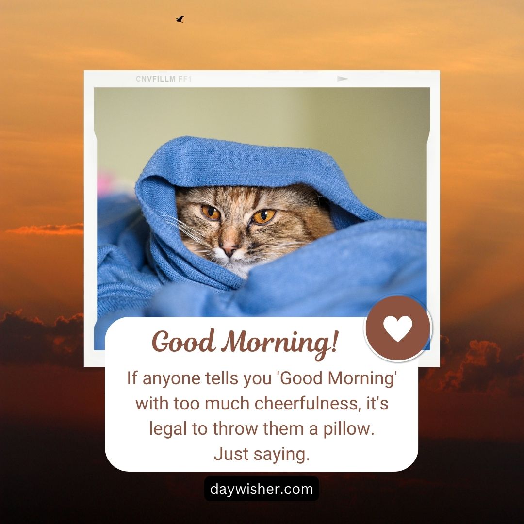 A cat with striking eyes peeks out from under a blue blanket, above a caption that humorously suggests it's legal to throw a pillow at someone who says "good morning" too cheerfully in