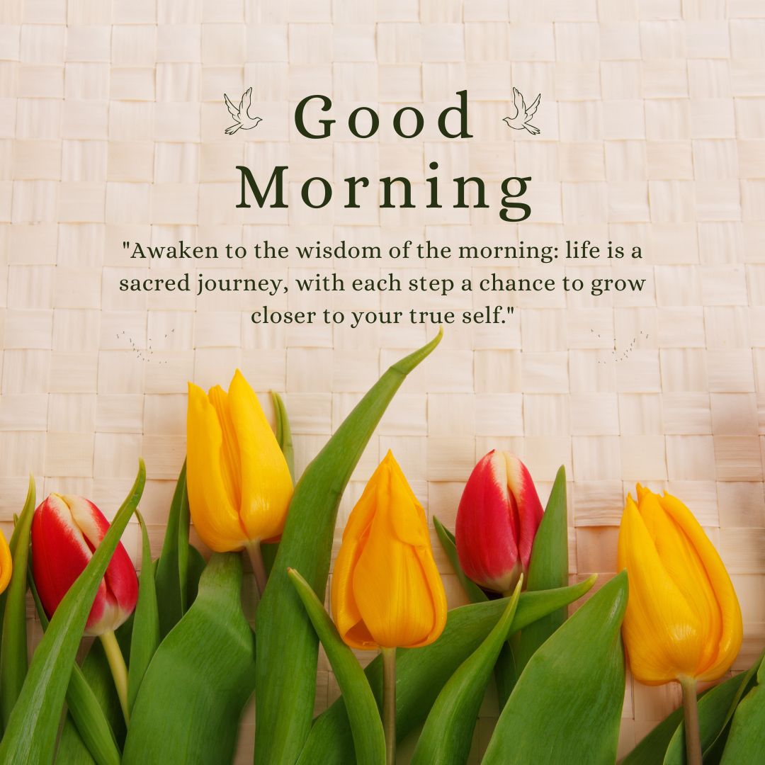 Text "good morning" with an inspirational quote about life and growth, overlaid on an image of tulips with red and yellow petals on a woven mat.