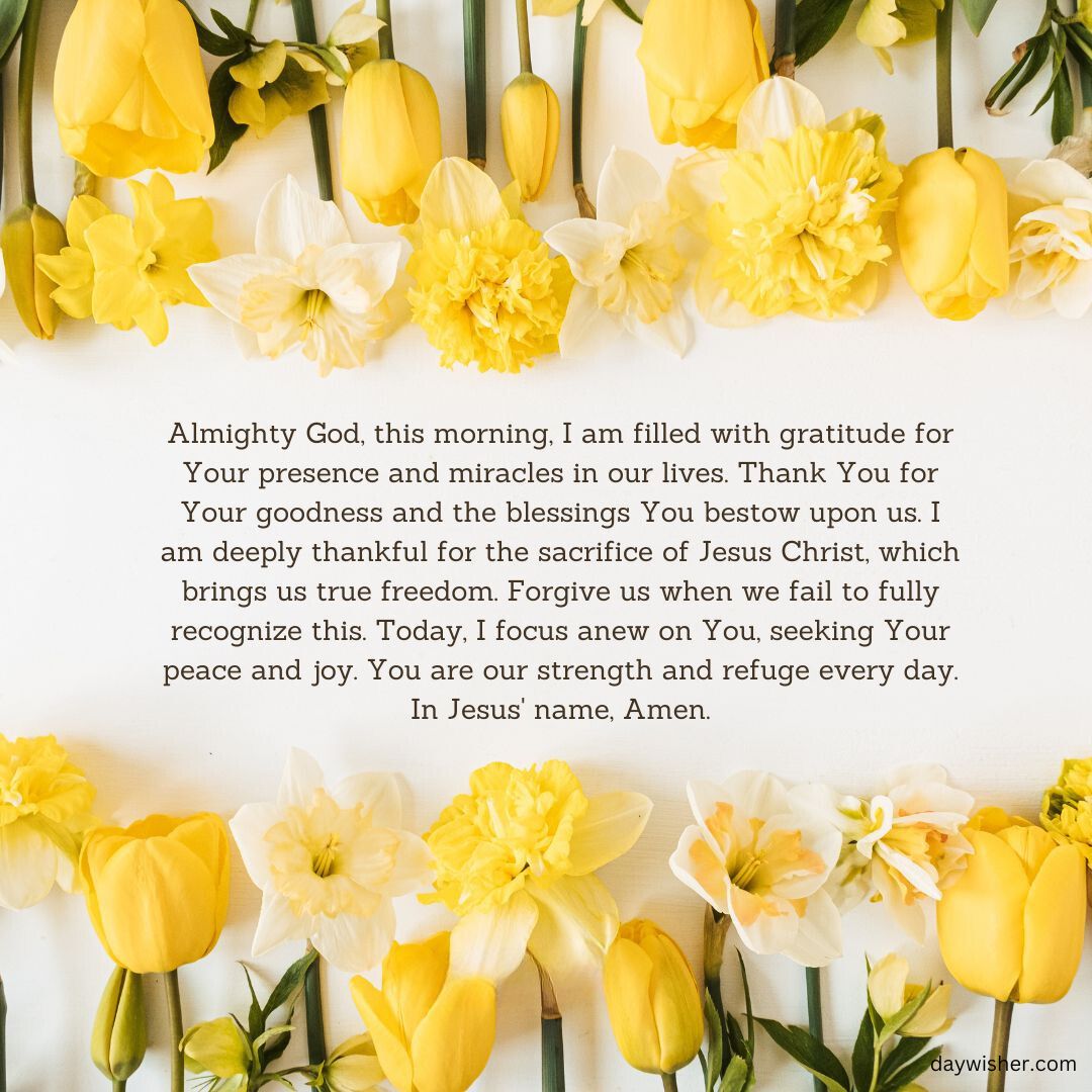 An image featuring vibrant yellow daffodils and other spring flowers arranged neatly around a "Good Morning Prayer" text centered on gratitude and seeking peace through a spiritual connection, on a white background.