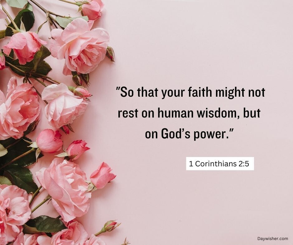 A collection of delicate pink roses arranged on a light pink background with a Bible verse from 1 Corinthians 2:5 about faith and God’s power.